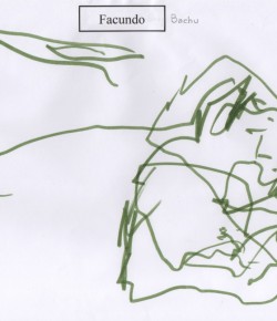 Mi primer trabajo